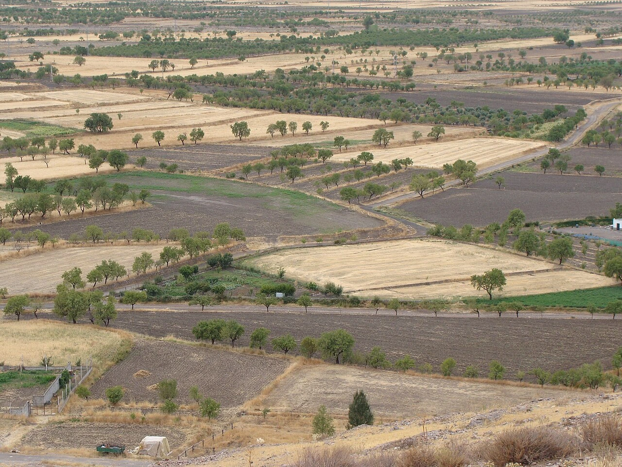 Dryland farming landscape with patchwork crop fields in a rural agricultural area